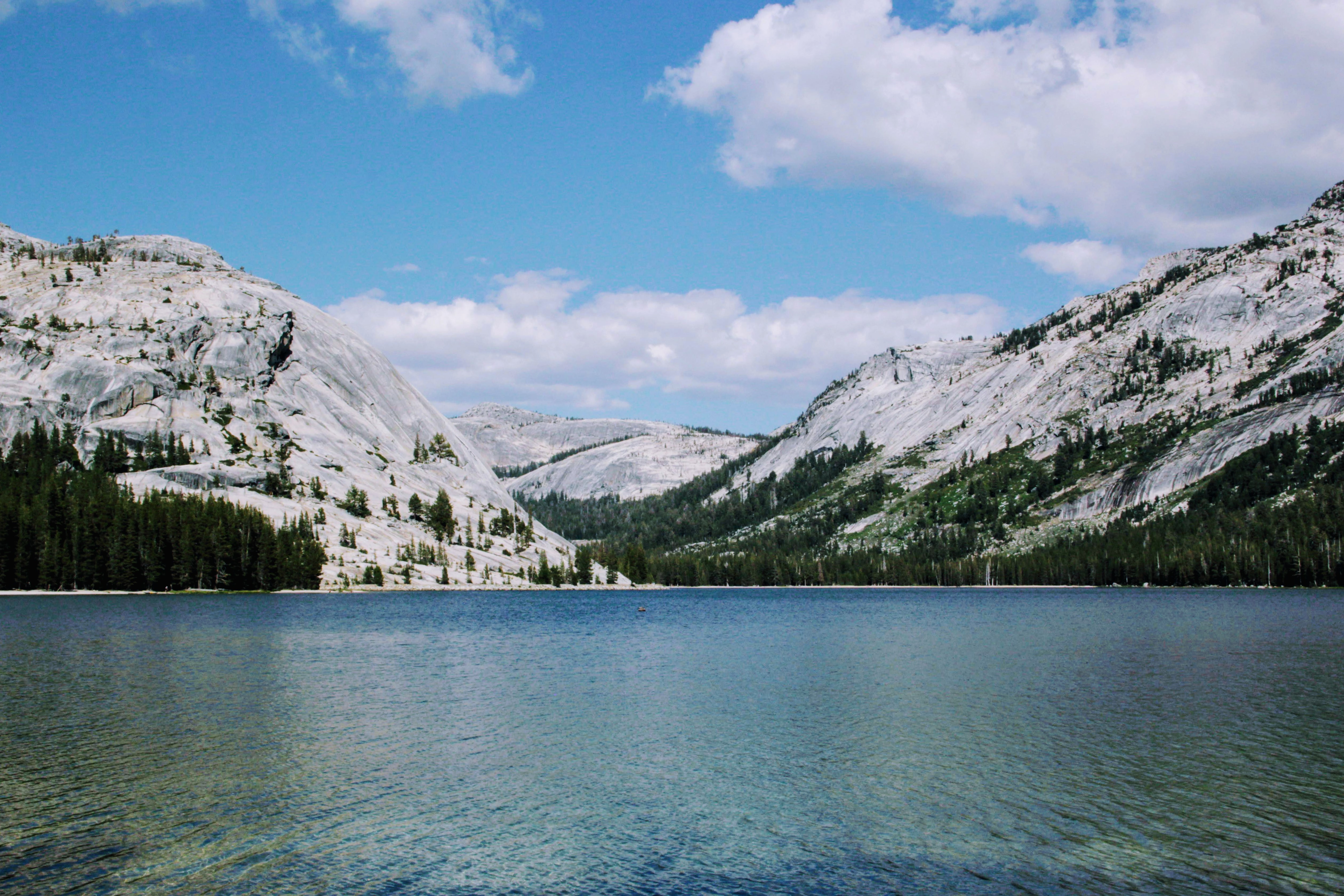 image for Yosemite